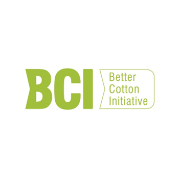 BCI logo